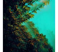 Polymoon - Caterpillars of Creation [Vinyl LP]