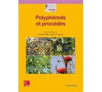 Polyphénols et procédés Transformation des polyphénols au travers des procédés appliqués à l'agroalimentaire - Universitaire de la Francophonie Agence - Technique Et Documentation - broché - Etude