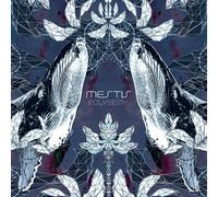 Polysemy (Vinyl)