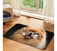 Pomeranian Tapis d'alimentation pour animal domestique 40 x 60 cm - Tapis absorbant pour gamelle d'eau et de nourriture en cuir synthétique imperméable à séchage rapide - Ne tache pas