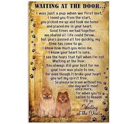 Pomeranian Waiting at The Door Pet Lover Birthday Retro Metal Tin Signs Vintage Aluminium Sign for Home Coffee Bar Wall Decor 12x8 Inch Tin Sign Room Decor Aesthetic, Singage