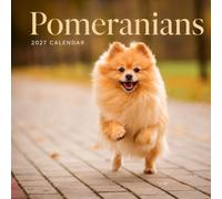 Pomeranians Calendar 2027: Small Dogs in Everyday Scenes