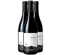 Pommard En Boeuf MAGNUM - Rouge 2021 - Domaine Boris Champy - Vin Rouge de Bourgogne (3x150cl) BIO