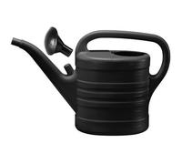 Pomme d'arrosoir, arrosoir de 10 litres