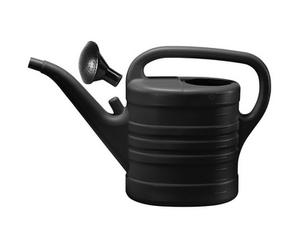 Pomme d'arrosoir, arrosoir de 10 litres