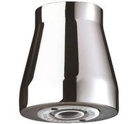 Delabie Pomme de douche suspendue GYM - Dim. F15X21