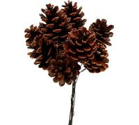 Pomme de pin noire cirée avec fil 200pcs pour DIY Deko Couronne de l'Avent Noël