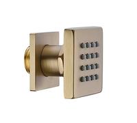 Pommeau de Douche brossé de 5 cm, pommeau de Douche Principal Mural réglable en Laiton, pommeau de Douche latéral pour Une expérience Spa, Ensemble d'accessoires de Douche Monobloc.