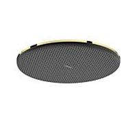 hansgrohe Raindance Alive S Douche de tête 300 1jet, 24520990, Couleur: Optique en or poli