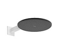 Pommeau de douche hansgrohe Raindance Alive S 24541700 2 modes de jet économie d'eau avec bras de douche, EcoSmart, blanc mat