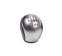 Pommeau de levier vitesse couleur argent(R6 Speed)