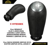 Pommeau Chromé de Levier 5 Vitesses Boite Transmission Manuelle compatible avec DOKKER DUSTER LOGAN II LOGAN MCV II CLIO III LAGUNA II MODUS TWINGO III - 8200059575 8200379950