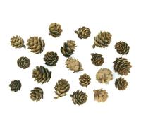 Pommes de pin 1,5 à 3 cm 20 pièces