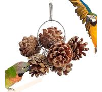 Pommes de pin suspendues - Oiseaux - Jeu de à mâcher - Aide à l'usure du bec - Accessoires de cage à cacatoès - Produit naturel pour déchiqueter et jouer - Crochet de fixation facile