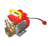 Pompa da travaso rover hp 0,8 - 550 w - racc. 25