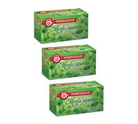 Pompadour 1913 | Menthe poivrée 100 % naturelle | Infusion Digestive et Fraîche Sans Caféine - 3 x 20 Infusettes (135 Gr)