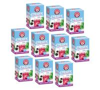 Pompadour® | Tisane froide pour infusion | Baies à la Menthe | Tisane en Eau Froide - 10 x 18 Filtres (450 Gr) | Infusion froide