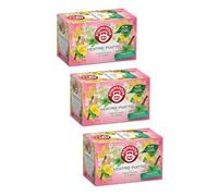 Pompadour® | Tisane Ventre Plat | Herbes aromatiques au fenouil, églantier, gingembre - 3 x 18 filtres (118.8 Gr) | Tisane dégonflante