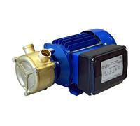 Pompe à anneau liquide en bronze pour tuyau ∅20 mm 230/400V Tri - ALGI EQUIPEMENT - 07901002