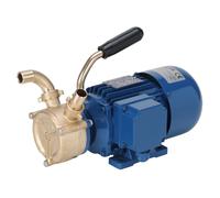 Pompe à anneau liquide en bronze pour tuyau ∅25 mm 230V Mono - ALGI EQUIPEMENT - 07901101