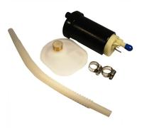 Delphi Pompe à carburant FE0438-12B1
