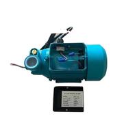 Pompe à eau 12 V 24 V 48 V, moteur à balais, pompe de surpression QB60, pompe solaire à batterie à haut débit et auto-amorçante(24V)