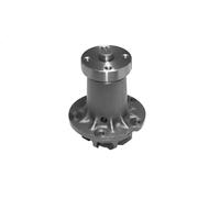 MAGNETI MARELLI 352316170665 Pompe à eau