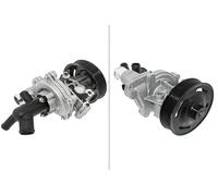 Pompe à eau 538 0981 10 INA pour FORD LAND ROVER