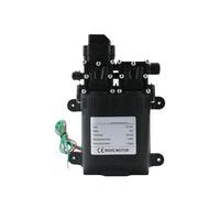 Pompe à eau à membrane automatique 8 L/min DC12 V 120 W AUTO Petite pompe auto-amorçante haute pression sûre Double cœur for l'agriculture