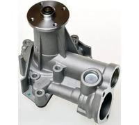 DENCKERMANN A310206P Pompe à eau