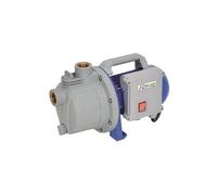Ribimex Pompe à eau de surface auto-amorçante PRJET41P 600 W 3 bars