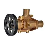 Pompe à eau de mer brute compatible avec le moteur diesel marin Volvo Penta D6 3589907 21380890 JMP JPR-VP0060DA Jabsco 50394-8300 50394-8100