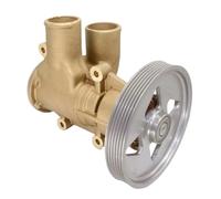 Pompe à eau de mer brute for moteur marin de bateau, compatible avec Volvo Penta D6, ancien modèle OEM 22000061 3887761, 21419376 22901578