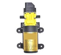 Pompe À Eau De Pulvérisation Électrique Agricole 12V, Petite Pompe De Pulvérisation À Haute Pression, Pompe À Diaphragme Auto-amorçante, Pompe À Eau For Pesticides(Auto-8L)