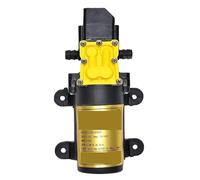 Pompe À Eau De Pulvérisation Électrique Agricole 12V, Petite Pompe De Pulvérisation À Haute Pression, Pompe À Diaphragme Auto-amorçante, Pompe À Eau For Pesticides(Auto-6L)
