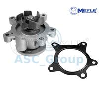 Pompe À Eau De Refroidissement Du Moteur Meyle Remplacement 37-13 220 0008
