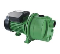 Ribiland 03216 - Pompe à Eau de Surface Auto - Amorçante - 600 Watts - Débit Maxi 2400l/h - Vert