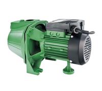 Ribiland Pompe De Surface Auto-amorçante 970w PRJET101