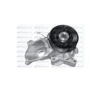 DOLZ B221 Pompe à eau