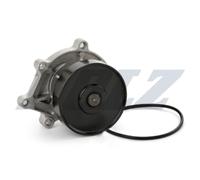 DOLZ B239 Pompe à eau