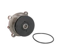 Pompe à eau DOLZ D301