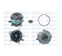 DOLZ D329 Pompe à eau