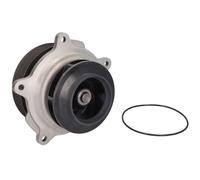 DOLZ D321 Pompe à eau