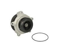 DOLZ D322 Pompe à eau