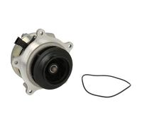 DOLZ D324 Pompe à eau