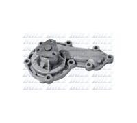 Pompe à eau DOLZ F140