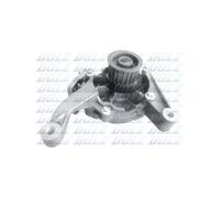 Pompe à eau DOLZ J206