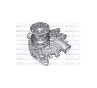 Pompe à eau DOLZ R130