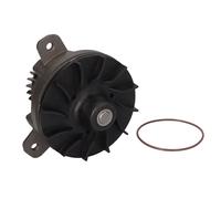 Pompe à eau DT Spare Parts 2.15244