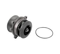 DT Spare Parts 7.60012 Pompe à eau